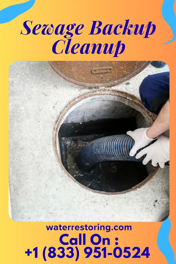 Sewage Backup Cleanup in Page, ND